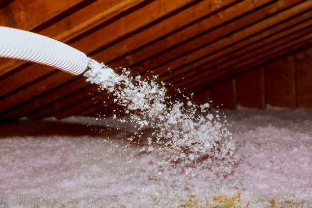 Best Eco-Friendly Insulation in Calverton, NY
